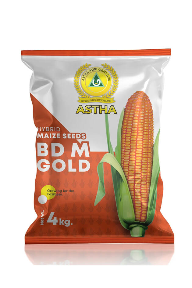 Maize: BD M Gold