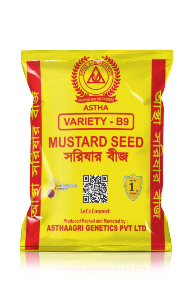 Mustard: Yellow (B-9)