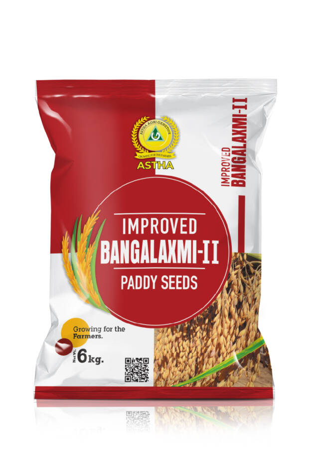 Paddy: Bangalaxmi II