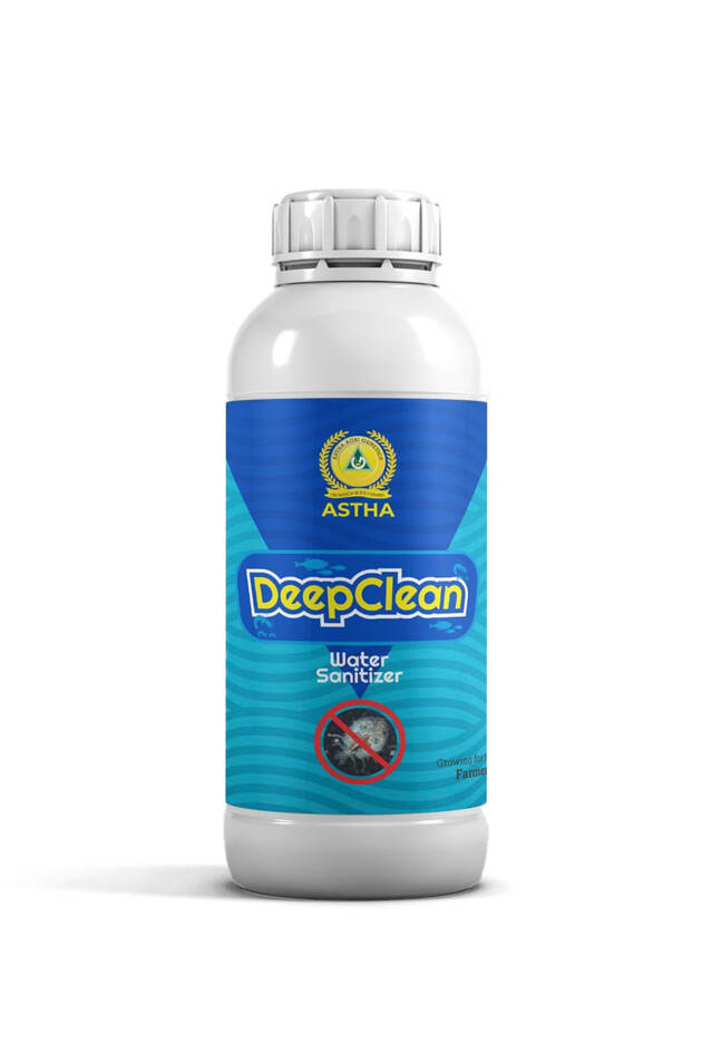DeepClean