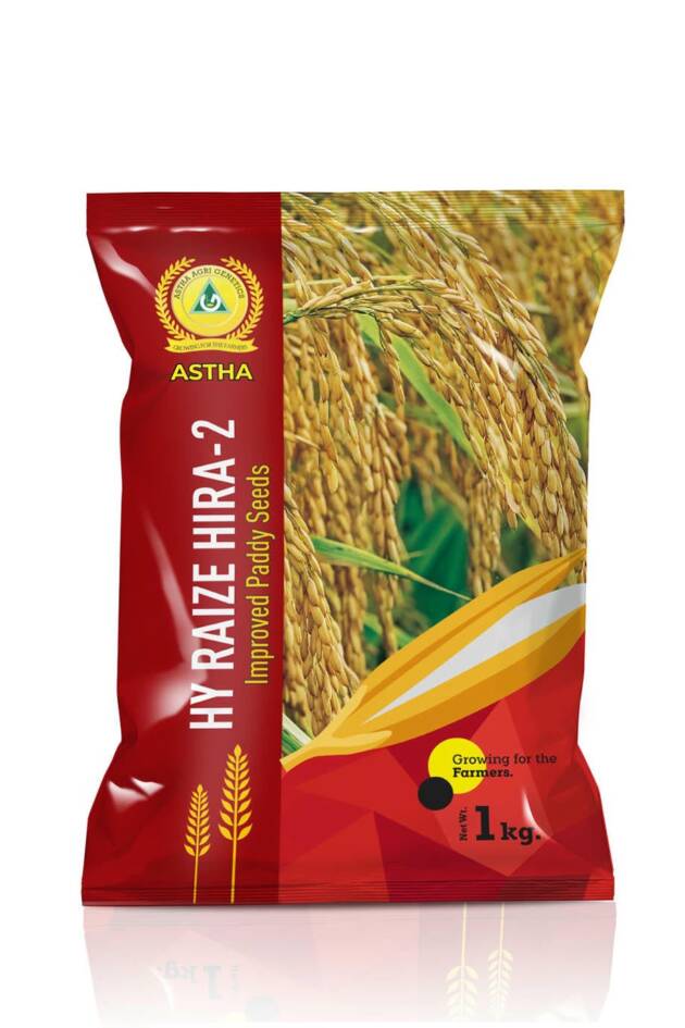 Astha Hy Raize Hira 2
