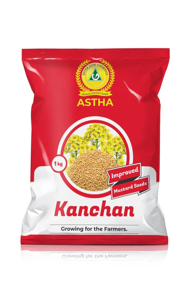 Kanchan