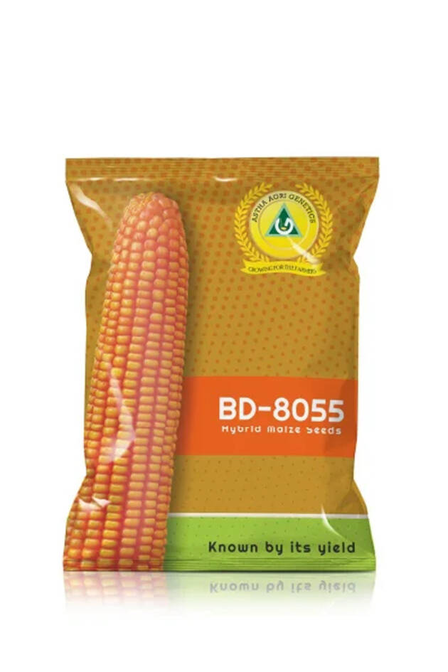 Maize: BD 8055