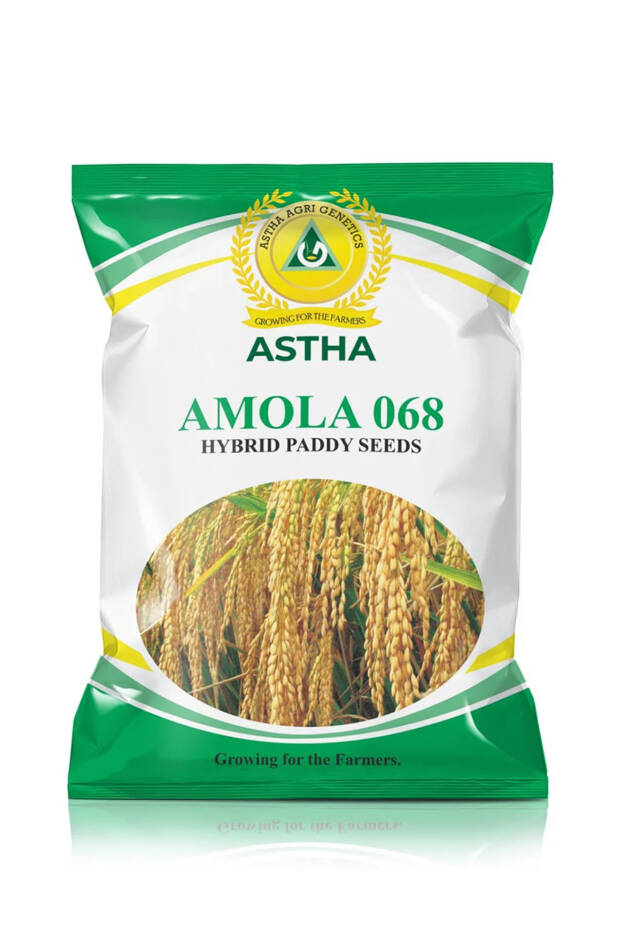 Paddy: Amola-068