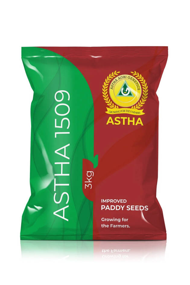 Paddy: Astha 1509