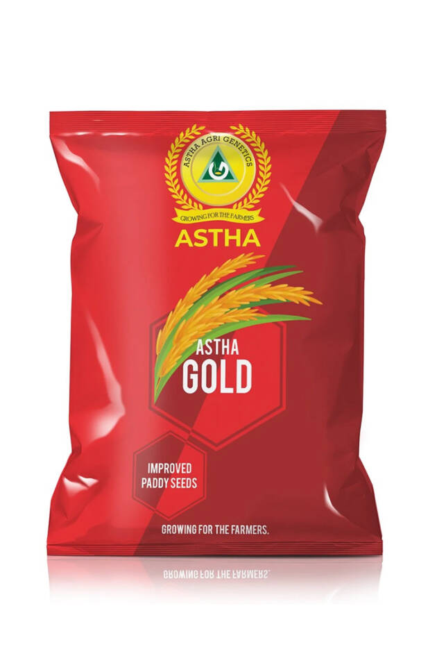 Paddy: Astha Gold