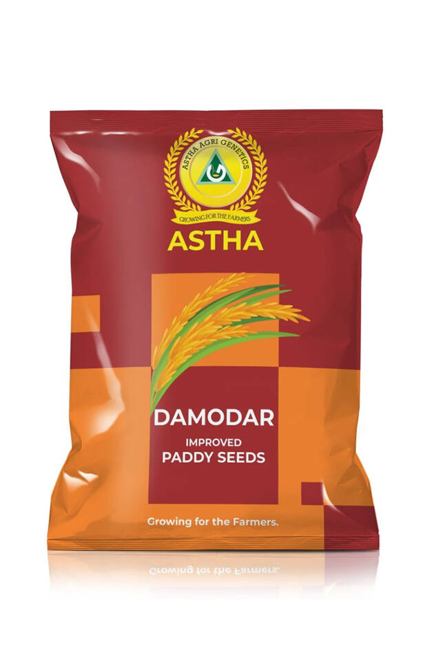 Paddy: Damodar