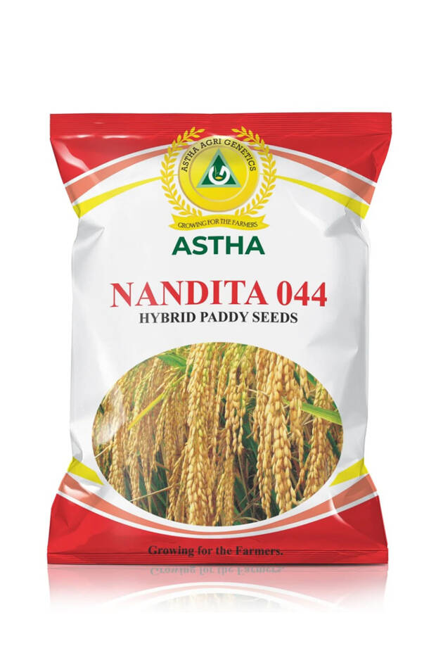 Paddy: Nandita-044