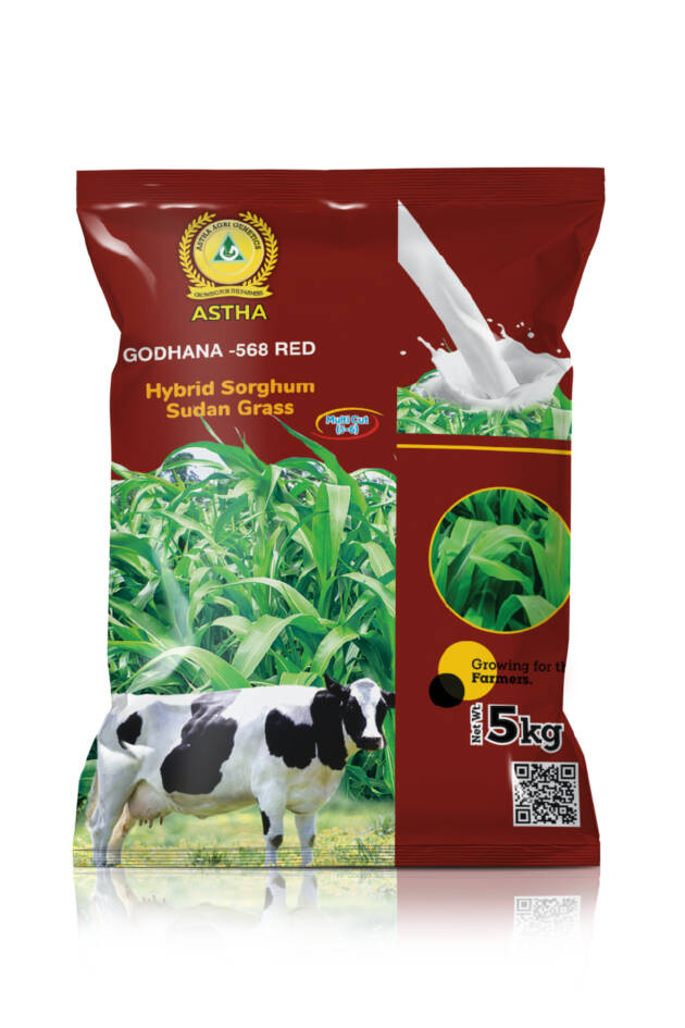 Godhana 568 Red