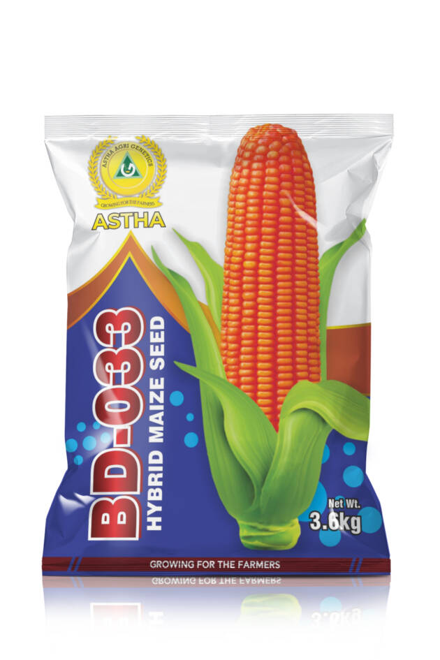 Maize: Hybrid BD 033