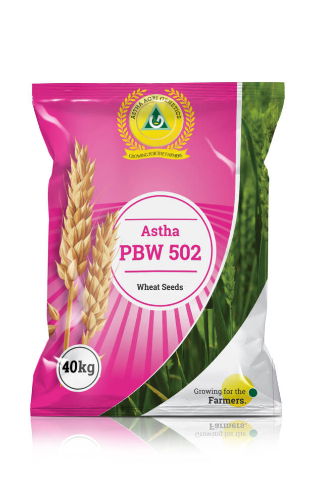 Astha PBW 502