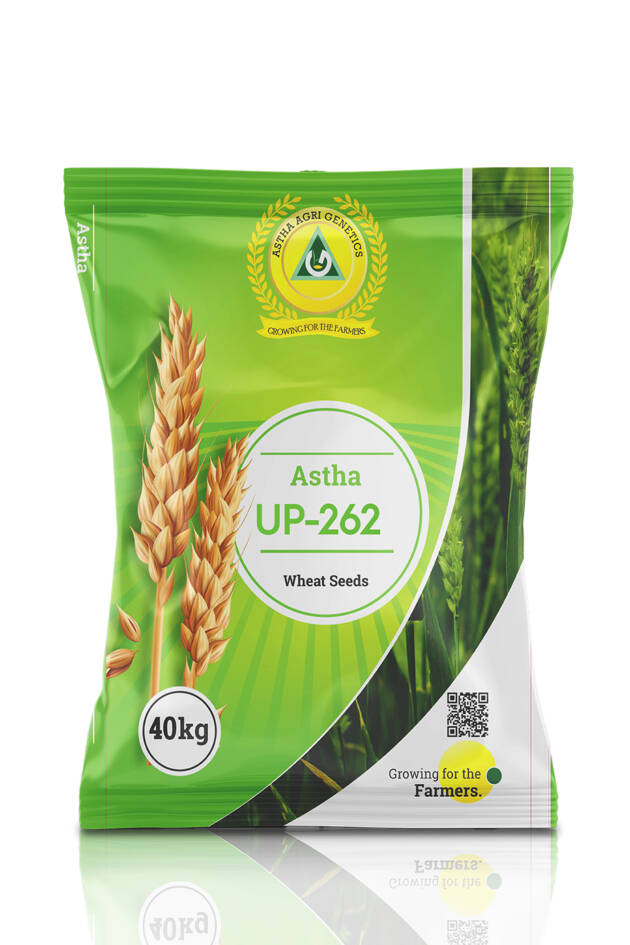 Astha UP-262