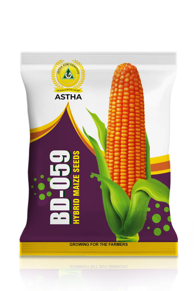 Maize: Hybrid BD 059