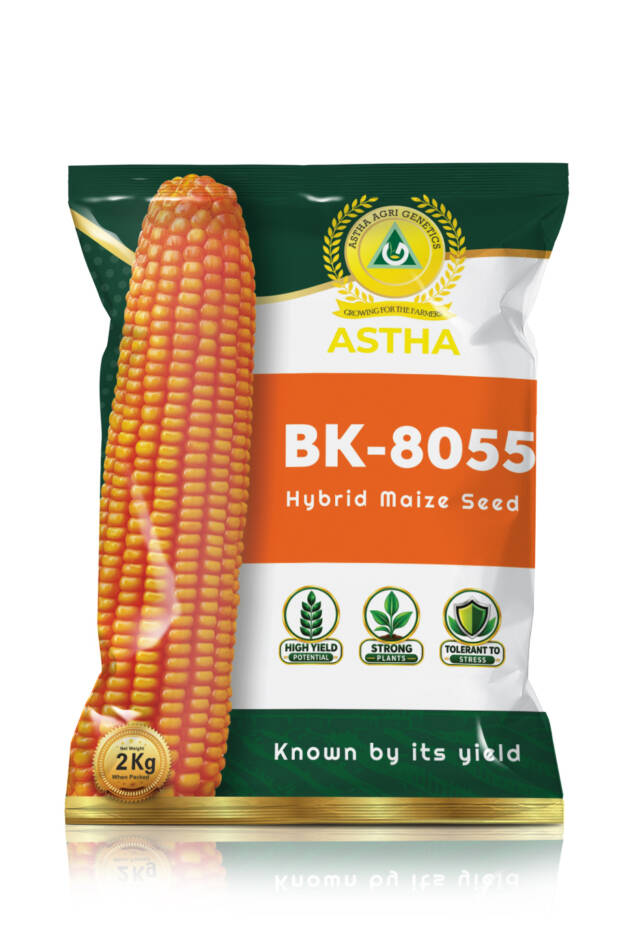 Maize: Hybrid BK 8055