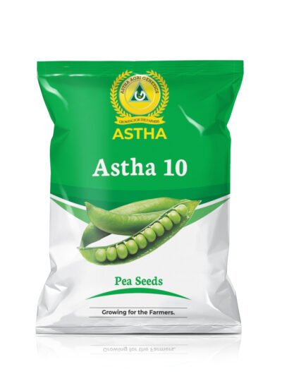 Astha 10