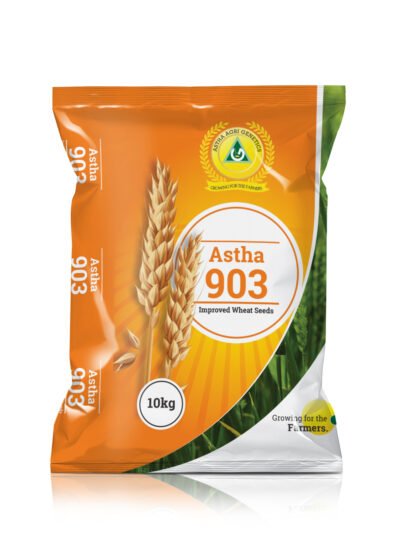 Astha 903 Imp Wheat-10kg